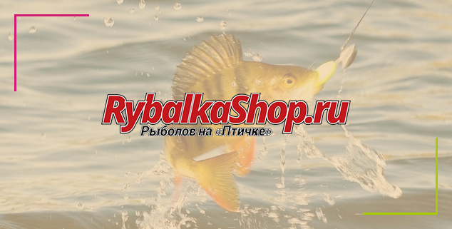 SEO продвижение сайта по тематике: продажа рыболовных изделий