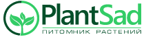 Plantsad